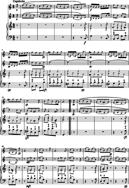 Johann Georg Hoffmann Partie a 3 Voci fuer zwei Violen und Violoncello